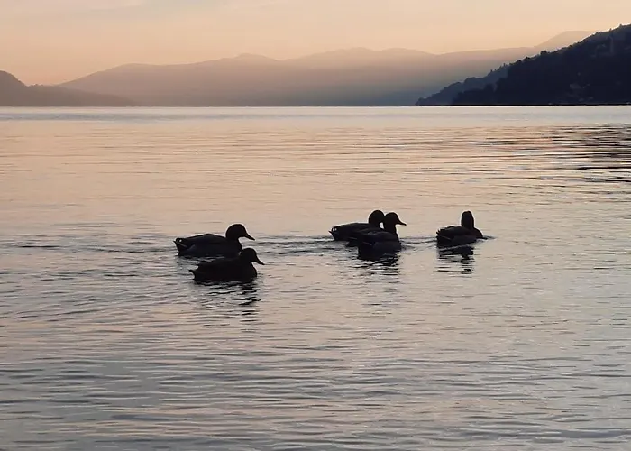 Apartamento 200 Passi